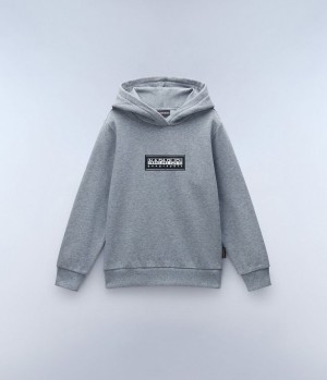 Dětské Mikina s Kapucí Napapijri Chamois Hoodie (4-16 YEARS) Šedé | 01AZTPUJI