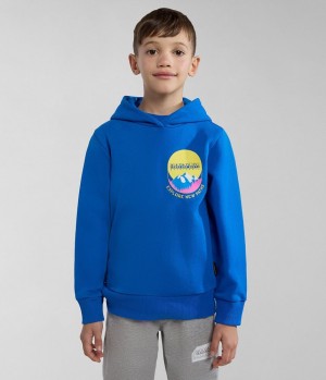Dětské Mikina s Kapucí Napapijri Liard Hoodie (4-16 YEARS) Blankyt | 85HUEYOIQ