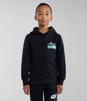 Dětské Mikina s Kapucí Napapijri Liard Hoodie (4-16 YEARS) Černé | 27HPKOCZN