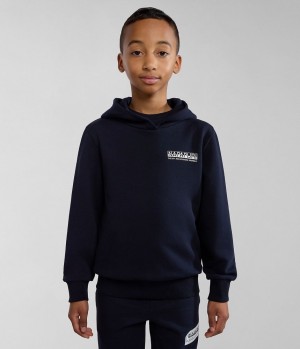 Dětské Mikina s Kapucí Napapijri Liard Hoodie (4-16 YEARS) Tmavě Blankyt | 79ZNQYJFW