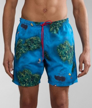 Pánské Plavky Napapijri Inuvik Swimming Trunks Multicolour | 95LPZAUJX